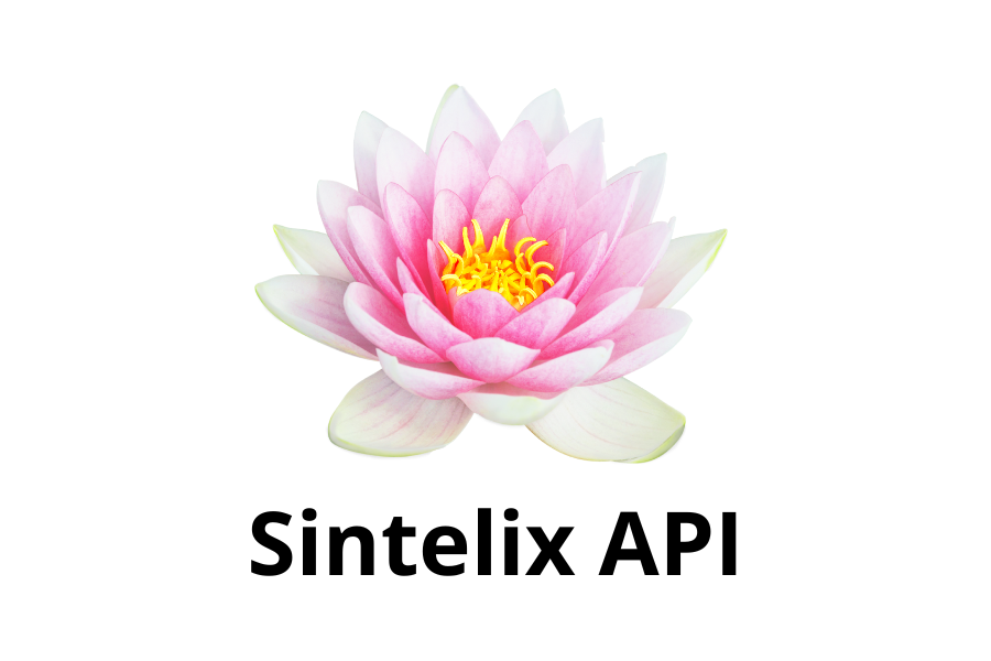 Sintelix API